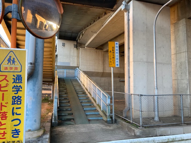 木曽川渡し遊歩道竹林