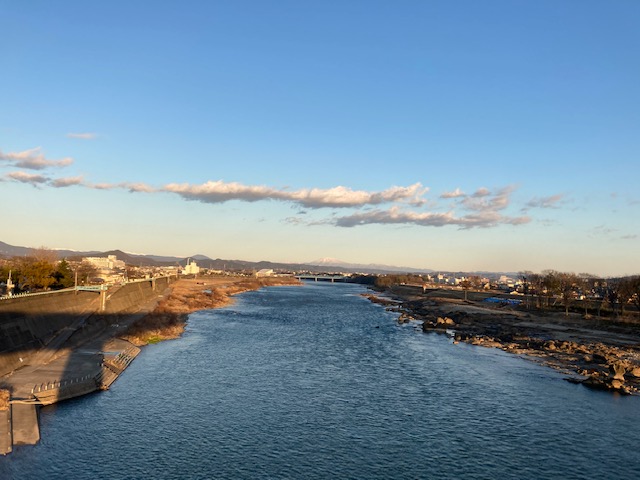 木曽川渡し遊歩道竹林