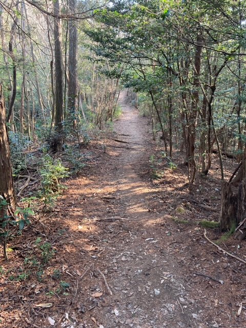 米田白山トレラン