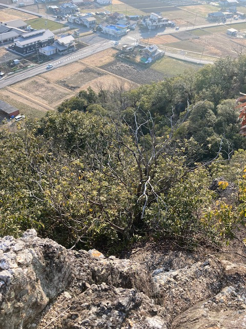 米田白山トレラン