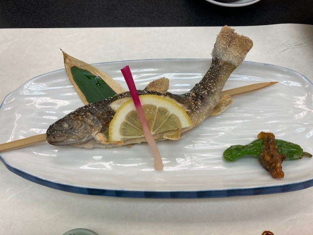 いびがわ観光