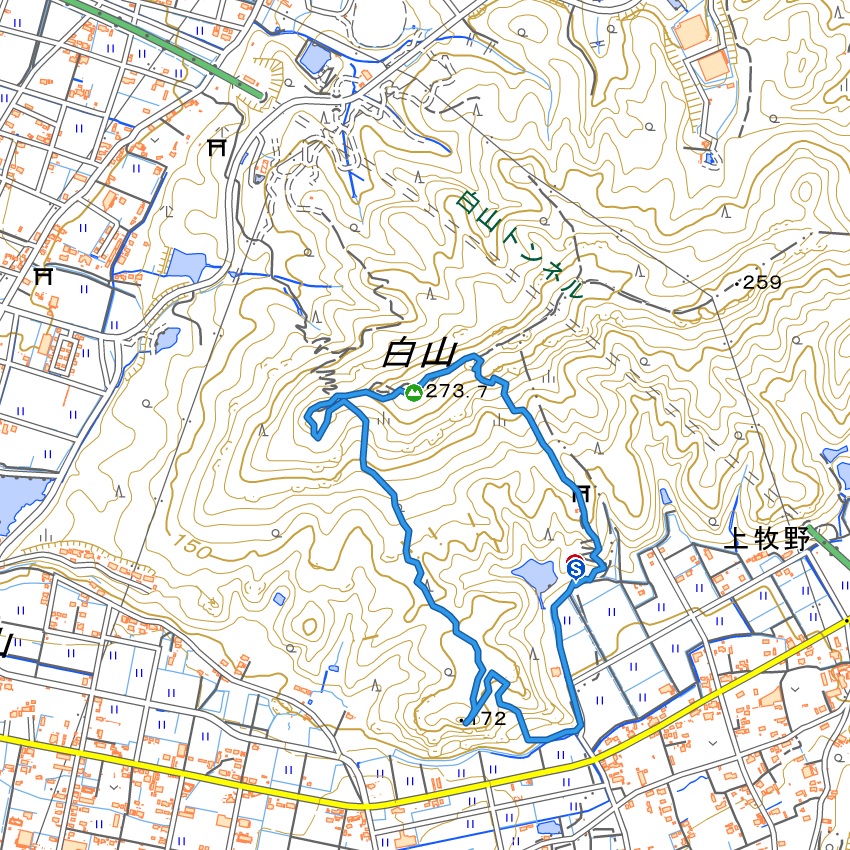 米田白山トレラン