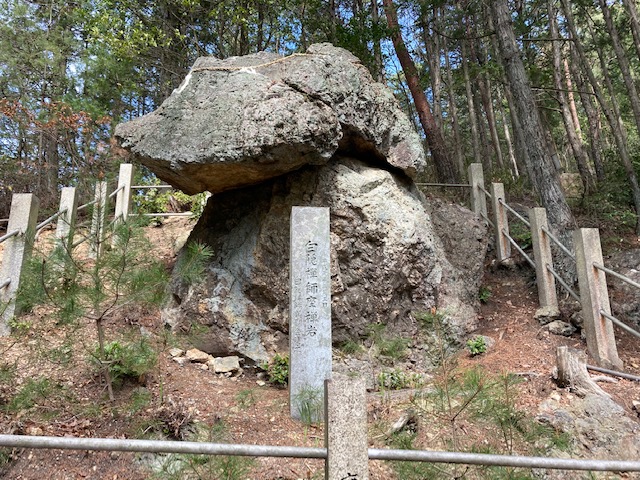 鬼飛山、大谷山、八坂山トレラン