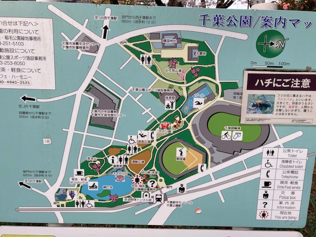 旅ラン&花見ラン