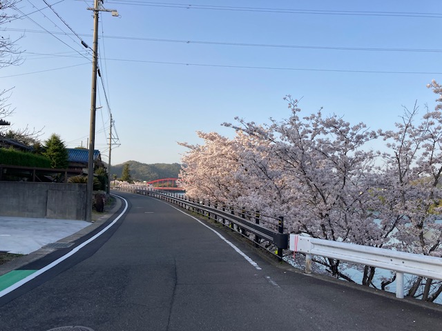 花見ラン