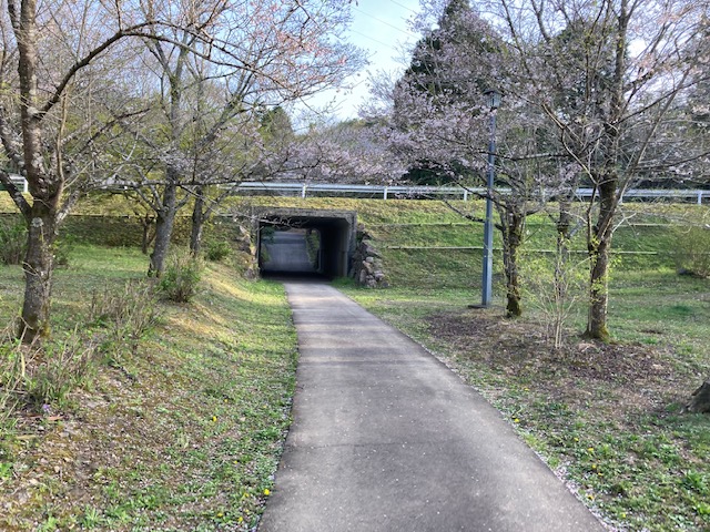 下米田トレラン試走