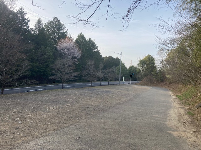 下米田トレラン試走