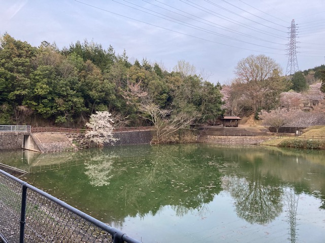 下米田トレラン試走