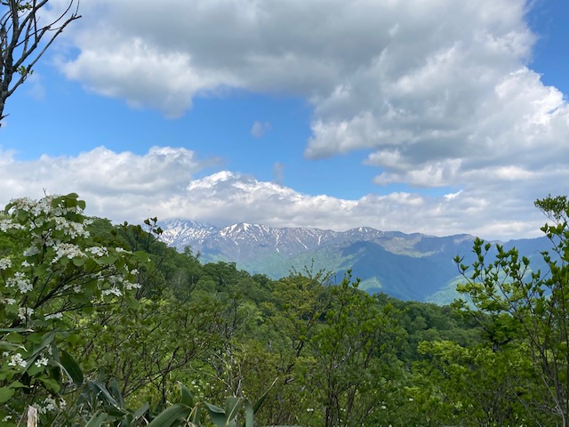 大日ヶ岳登山