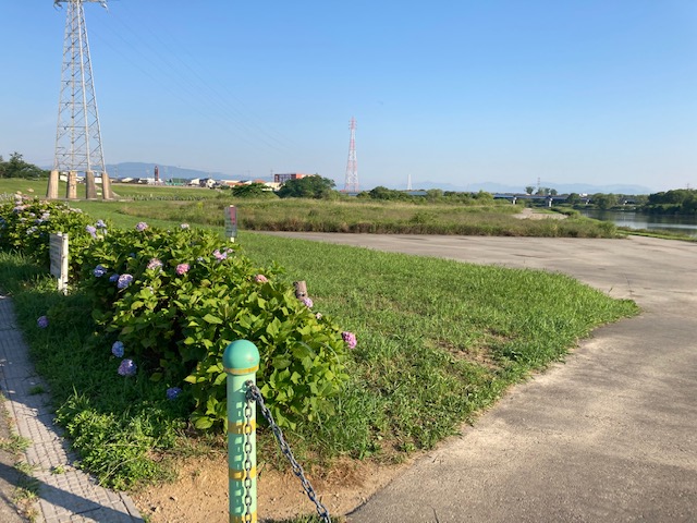さい川さくら公園ラン