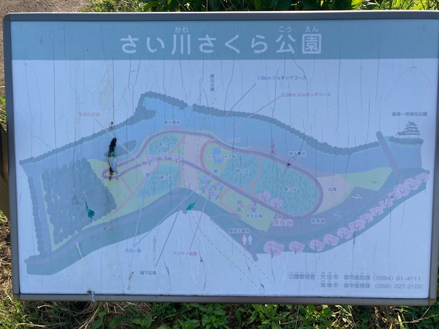 さい川さくら公園ラン