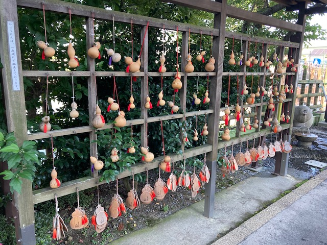 さい川さくら公園ラン
