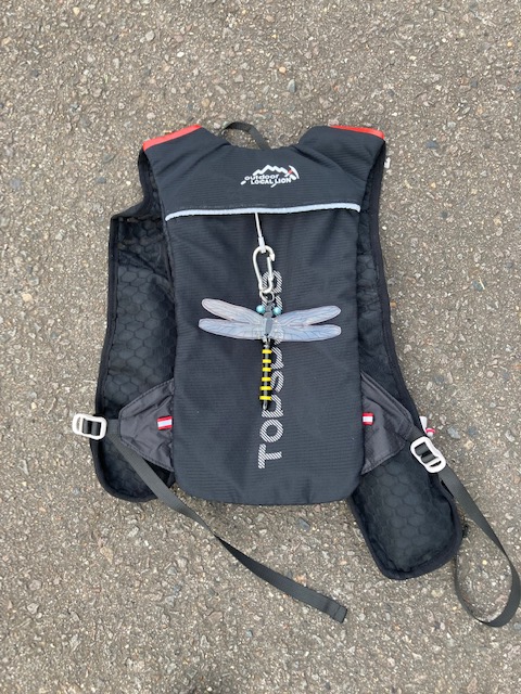 富士登山競走トレーニング