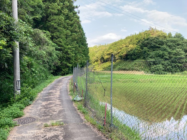 富士登山競走トレーニング