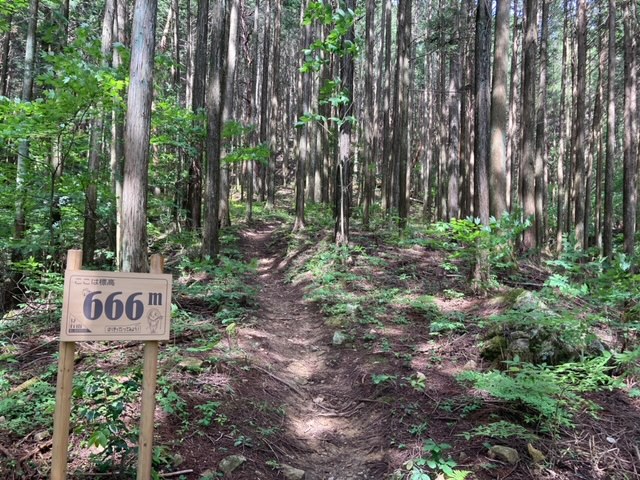 見行山トレラン