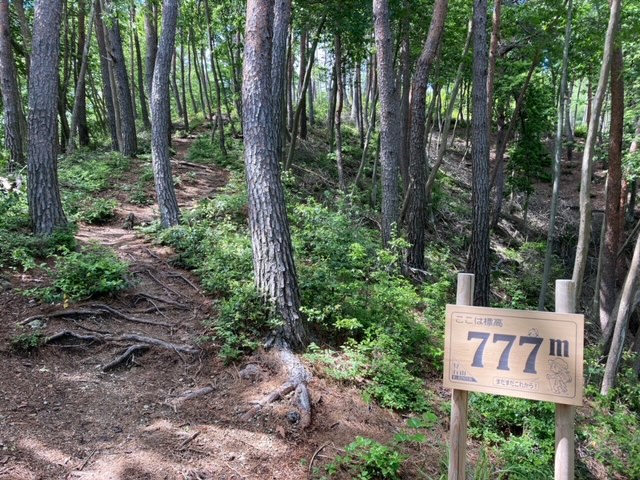 見行山トレラン