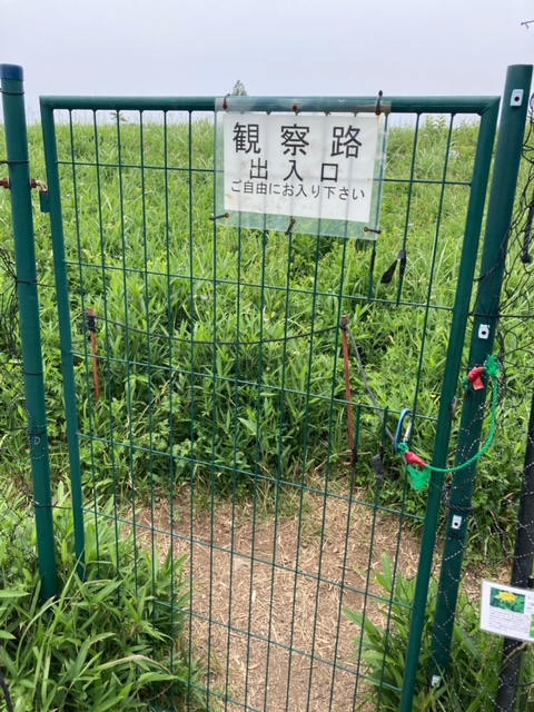 伊吹山登山