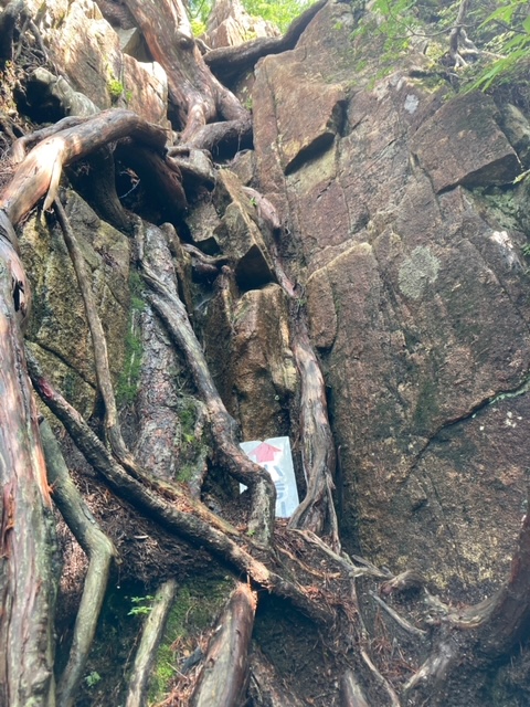 小秀山登山
