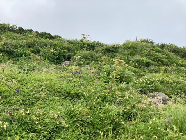 雨飾山登山