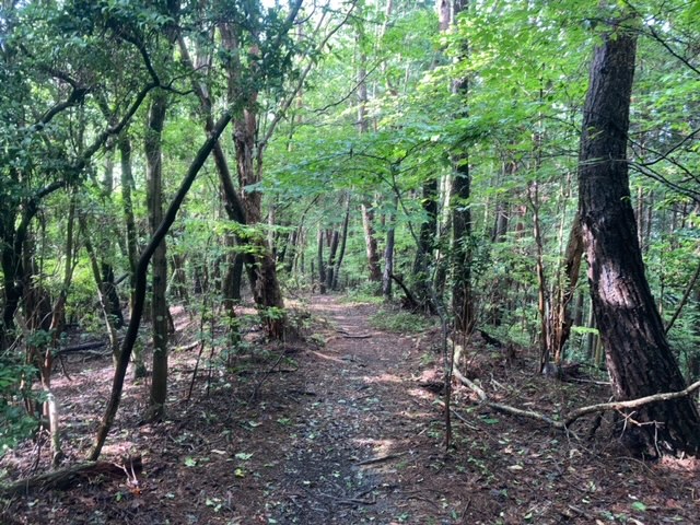 納古山登山