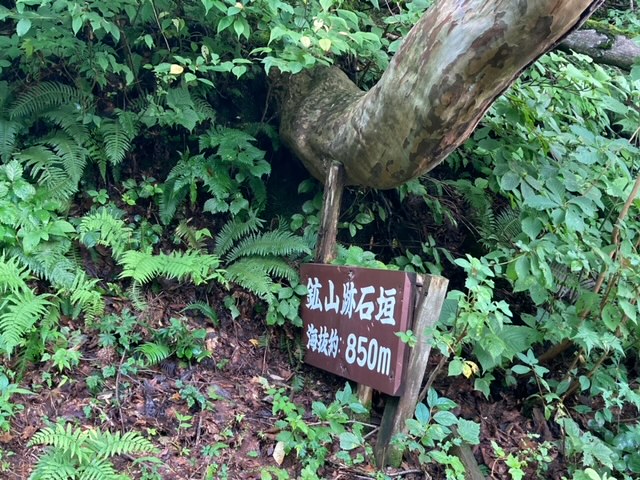 銀杏峰登山