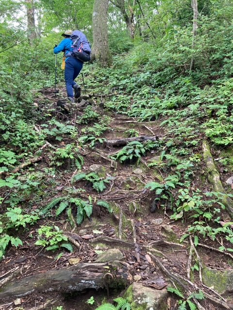 銀杏峰登山