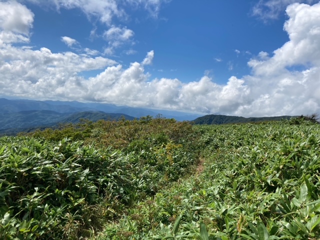 銀杏峰登山