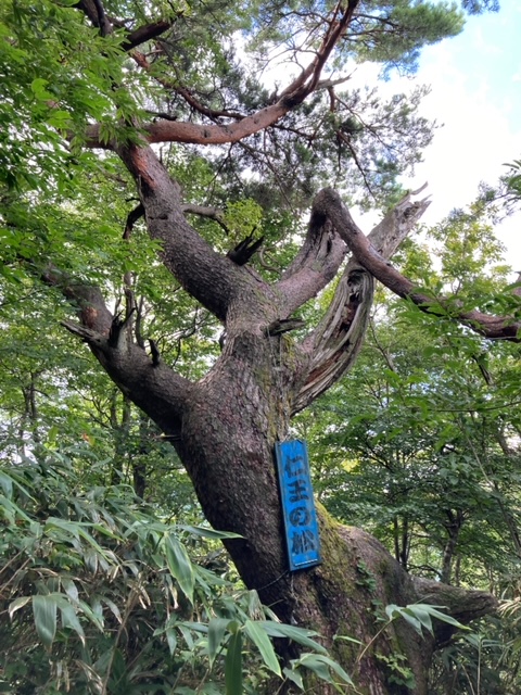 銀杏峰登山