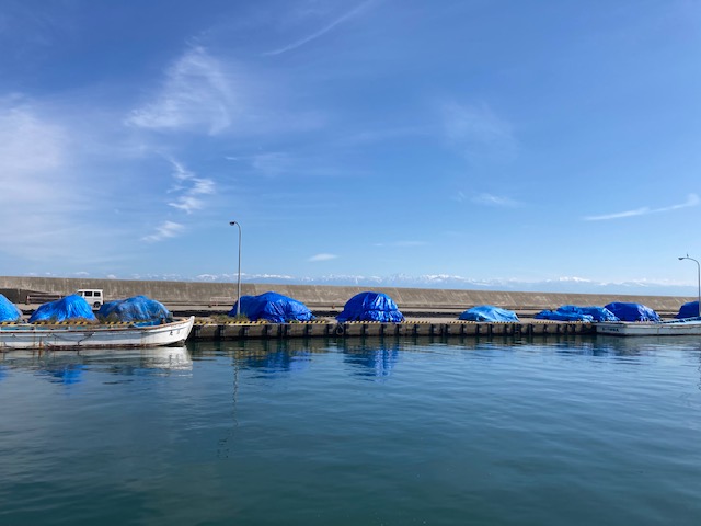 氷見魚市場食堂