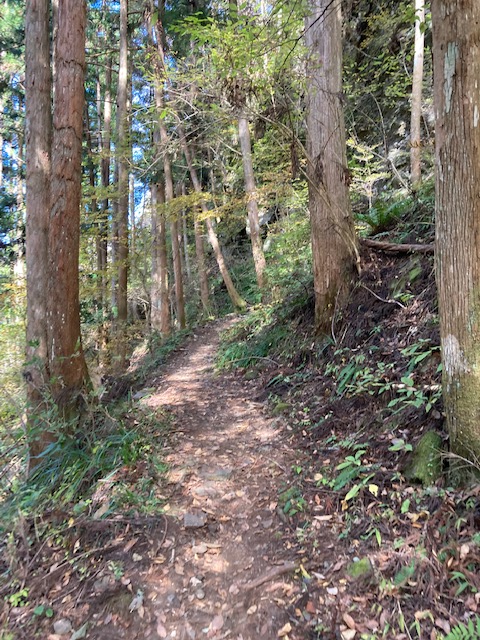 巌立峡紅葉