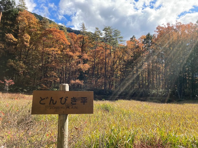 巌立峡紅葉