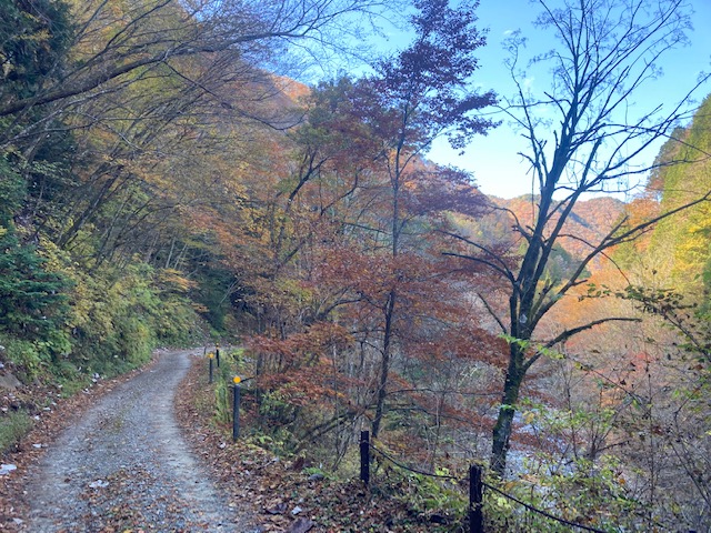 巌立峡紅葉