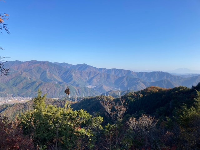 大矢田神社モミジ
