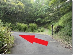 IMG_5788 IMG_5788
