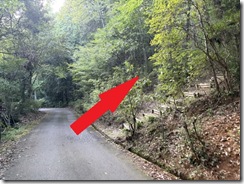 IMG_5792 IMG_5792