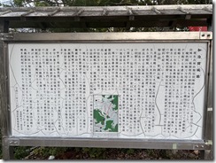 IMG_5817